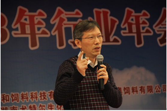 2013.12.20年会杨红业博士.png