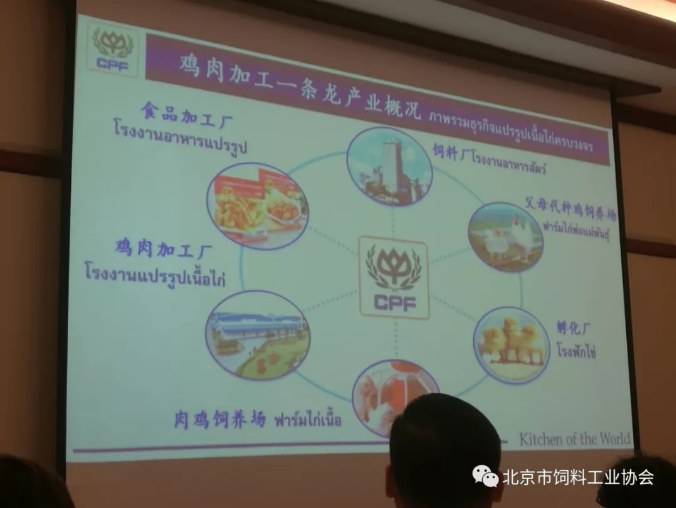重磅三9.png